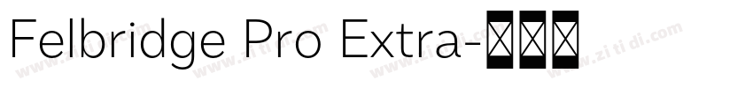 Felbridge Pro Extra字体转换